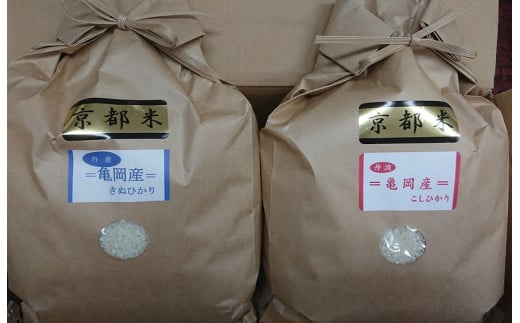 米 契約農家の亀岡米食べ比べセット（コシヒカリ5kg、キヌヒカリ5kg）◆