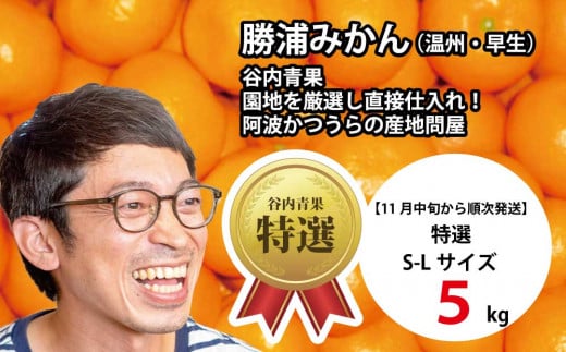 谷内青果 特選 早生みかん 秀品 S-Lサイズ 5kg 782839 - 徳島県勝浦町