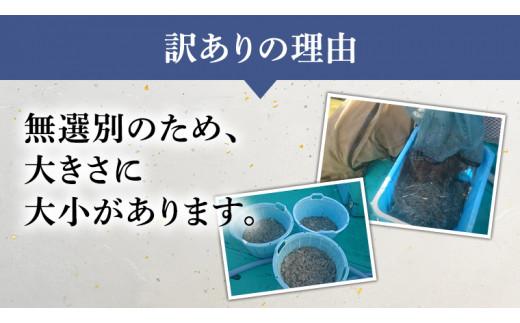 訳ありの理由画像