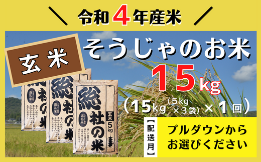 令和4年産】そうじゃのお米【玄米】15kg - 岡山県総社市｜ふるさと