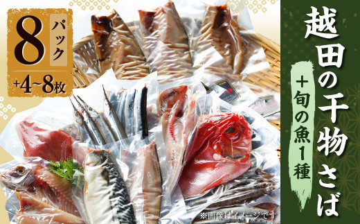 越田の干物 さば(1枚入)×8パック + 旬の魚二種(4～8枚) 干物 鯖 さば