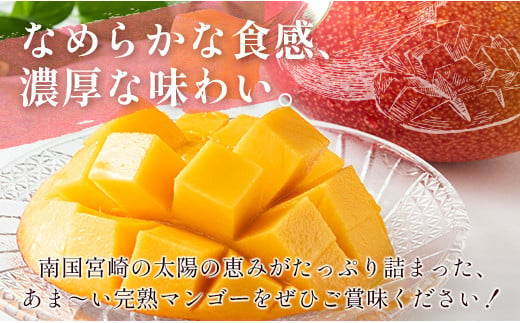 人気SALE人気 宮崎県産完熟マンゴーLサイズ6玉1.9kg 以上 tNqlZ