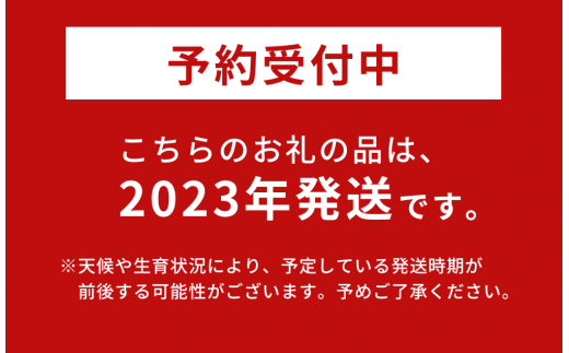 シークヮーサー生産者の知念ご夫妻