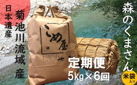 【定期便6回】 熊本県産 「森のくまさん」 5kg×6か月