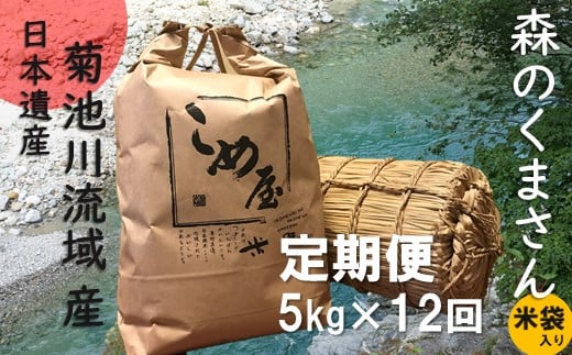 【定期便12回】 熊本県産 「 森のくまさん 」 5kg × 12か月 | 米 こめ お米 おこめ 白米 精米 熊本県 玉名市 定期 定期便