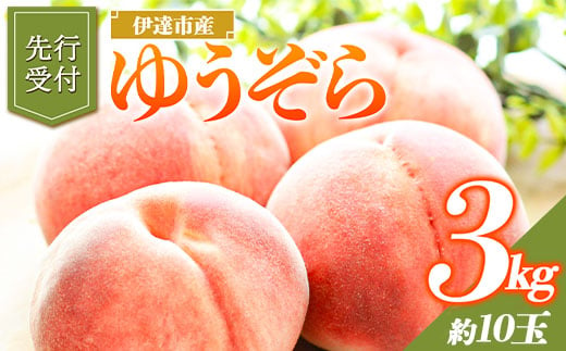 福島の桃 ゆうぞら 3kg （約10玉） 先行予約 フルーツ 果物 伊達市産もも もも モモ momo F20C-642