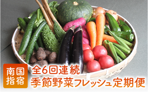【全６回定期便】季節野菜フレッシュ定期便(岡村商店/Z-018)