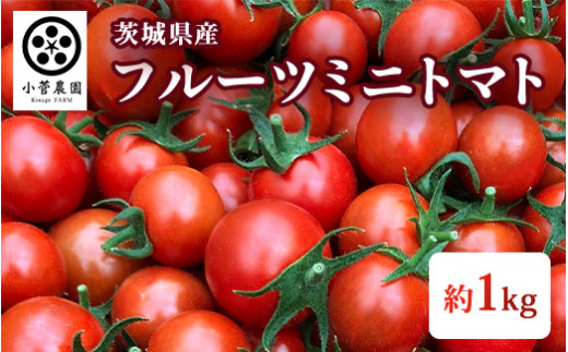 フルーツミニトマト 約1kg 茨城県産