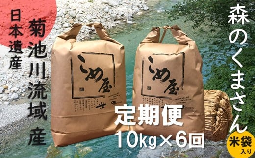 【定期便6回】 熊本県産 「森のくまさん」 10kg×6か月