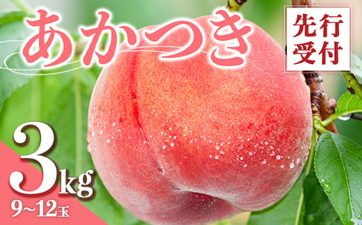 福島県産 あかつき 3kg 2024年7月下旬～2024年8月上旬発送 先行予約 予約 伊達の桃 桃 もも モモ 果物 くだもの フルーツ 名産品 国産 食品 F20C-637