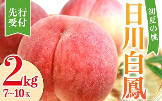 福島県産 日川白鳳 2kg 2025年7月上旬～2025年7月中旬発送 2025年出荷分 先行予約 予約 伊達の桃 小玉 桃 もも モモ 果物 くだもの フルーツ 国産 食品 F21C-023 519385 - 福島県伊達市