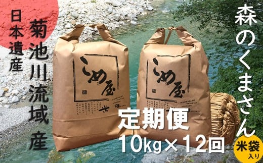 【定期便12回】 熊本県産 「森のくまさん」 10kg×12か月 312232 - 熊本県玉名市