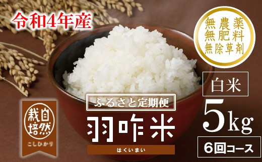 みあり 令和4年石川県産新米ゆめみづほ24キロ玄米可能 無農薬有機栽培