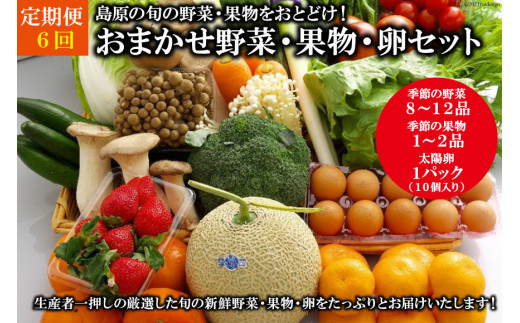 AF058【定期便】【6回】島原の旬の野菜・果物！おまかせ野菜・果物・卵