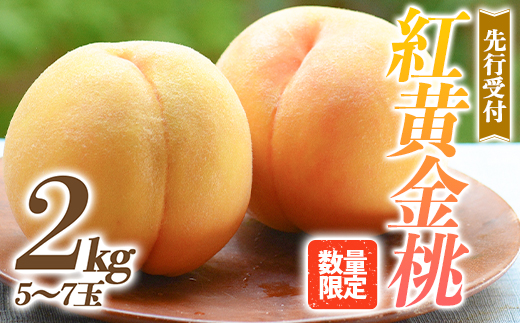 福島の桃 【数量限定】紅黄金桃 2kg（5