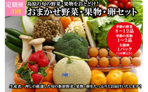 【2倍量】九州産　新鮮野菜　詰め合わせセット