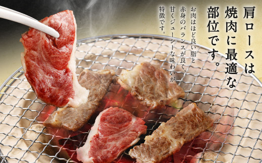 筑後 船小屋 牛肩ロース 焼肉用 400g×1パック ロース 肩ロース 牛肉 国産 焼肉