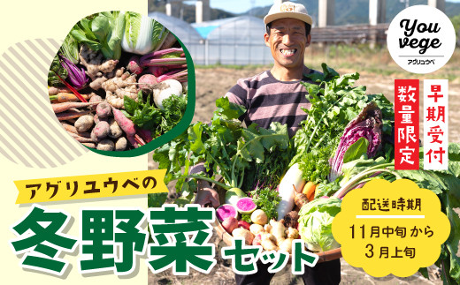 22-761.【早期受付・数量限定】\とれたて新鮮/農家直送!アグリユウベの冬野菜セット【2022年11月中旬~2023年3月上旬の間に1回発送】