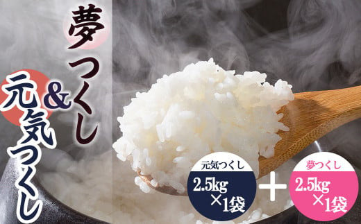 果物屋さんが選んだ米食べ比べ「夢つくし&元気つくし」2.5kg×2袋 4A26 509968 - 福岡県赤村