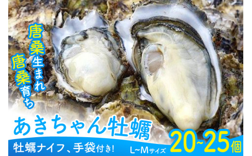 限定品】こだわりのあきちゃん牡蠣 約20～25個（約4kg〜5kg）牡蠣 殻