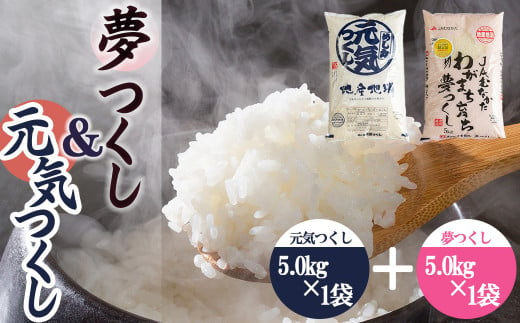 果物屋さんが選んだ米食べ比べ「夢つくし&元気つくし」5kg×2袋 4A27 509969 - 福岡県赤村