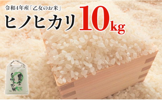 令和4年産「乙女のお米」ヒノヒカリ　１０kg