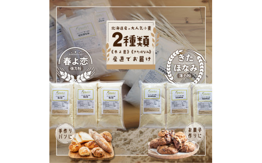 北海道小清水町産 小麦粉6kgセット（春よ恋1kg×3袋・きたほなみ1kg×3袋）【01014】