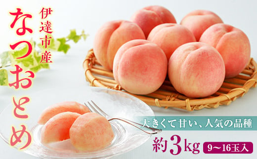 福島の桃 なつおとめ 3kg（9～16玉） 先行予約 フルーツ 果物 伊達市産桃 もも モモ momo F20C-349 265381 - 福島県伊達市