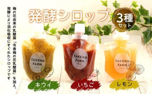 発酵 シロップ 3種 レモン ・ いちご ・ キウイ (150cc×1パック) 790336 - 福岡県久山町