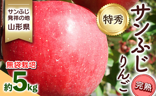 《2024年発送》サンふじ発祥の地 山形県産 特秀サンふじりんご 約5kg 完熟 無袋 FSY-0868 517912 - 山形県山形県庁