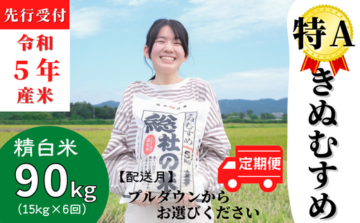 令和5年産米】特Aきぬむすめ【精白米】60kg定期便（15㎏×4回） - 岡山