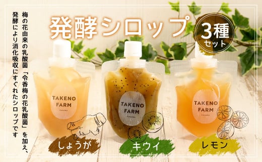 発酵 シロップ 3種 しょうが ・ レモン ・ キウイ (150cc×1パック) 790335 - 福岡県久山町