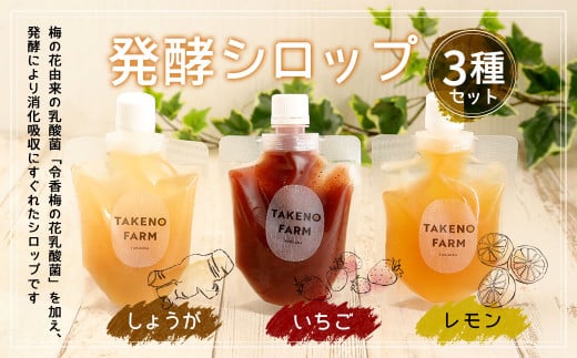 発酵 シロップ 3種 しょうが ・ レモン ・ いちご (150cc×1パック) 790334 - 福岡県久山町