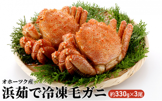 訳あり 毛ガニ 約330g×3尾 浜茹で 【丸サチ松永水産】 北海道