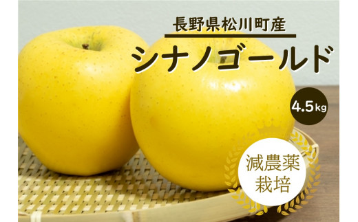 YN16-24A りんご シナノゴールド 約5kg 減農薬栽培 秀品／10月下旬頃から配送予定 513492 - 長野県松川町
