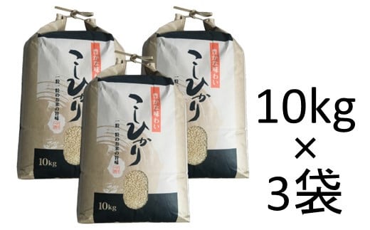 石川県産　玄米３０kg