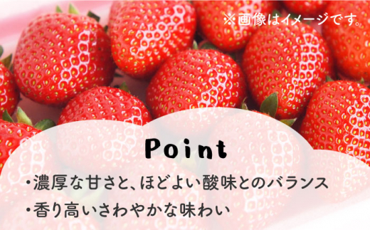 長崎県産 ゆめのかいちご 1パック約250g×10パック - フルーツ