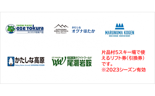 おもてなし宿泊券1冊&共通スキーリフト一日券2枚（2023ｼｰｽﾞﾝ）セット