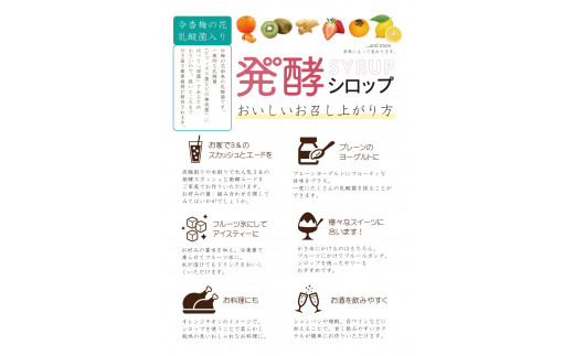 発酵 シロップ 3種 レモン ・ いちご ・ キウイ (150cc×1パック)