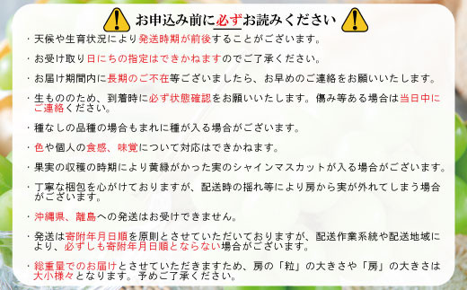 [No.5657-2907]《短期冷蔵品》大房シャインマスカット700g以上を2房  （1.4kg以上）《後藤農園》■2022年発送■※10月下旬頃～12月上旬頃まで順次発送予定