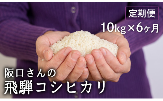 特別栽培米 飛騨産 コシヒカリ 令和5年産 新米 定期便 10kg×6ヶ月 阪口農園