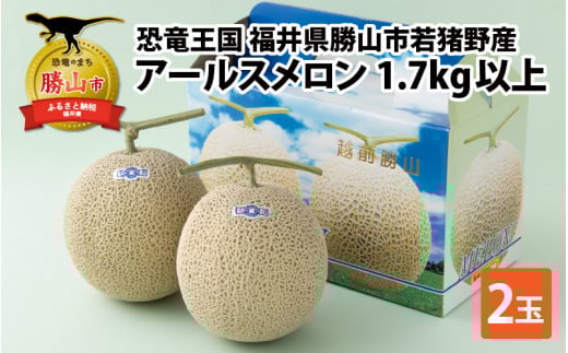 恐竜王国 福井県勝山市若猪野産アールスメロン 1.7kg以上 2玉箱入り [A-059002] 720840 - 福井県勝山市