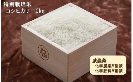 令和５年産　西予市宇和町産　特別栽培米コシヒカリ10kg 222322 - 愛媛県西予市