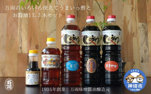 九州醤油万両のたっぷりだしパックと調味料詰合せ(H-2) 【みそ JAS