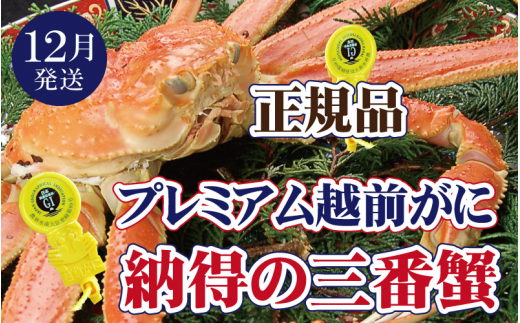 越前がに本場の越前町からお届け！ 越前がに × 1杯（三番蟹）納得のプレミアム越前がに【かに カニ 蟹】【福井県 越前町 雄 ズワイガニ 生 ボイル 冷蔵 越前ガニ 越前かに 越前カニ ずわいがに ずわい蟹 かに カニ 蟹】【12月発送分】【浜茹でお届け】希望日指定可 備考欄に希望日をご記入ください [e37-x004_12b] 514332 - 福井県越前町