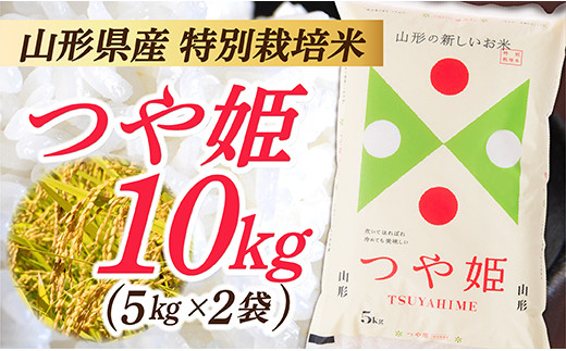 IG【令和5年産】 山形県産 特別栽培米 つや姫10kg (5㎏×2袋) - 山形県