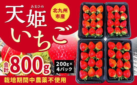 【栽培期間中農薬不使用】 天姫 (あまひめ) イチゴ 200g×4パック