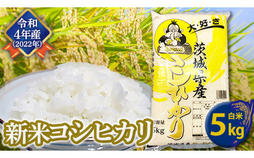 カテゴリ めれ様専用茨城29年産コシヒカリ精米済み白米24㎏の通販 by