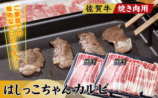 佐賀牛　焼き肉用はしっこちゃん【カルビ】（※画像はイメージです）