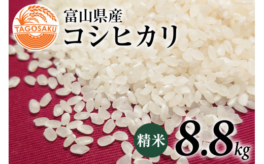 米 令和5年 コシヒカリ 精米 8.8kg